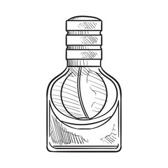 perfume handdrawn illustration