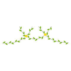 Vine leaves illustration. Vines plant for corner decoration. Vector illustration.