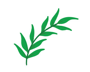 green leaf icon in white background