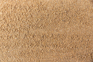 Beautiful wet sand background