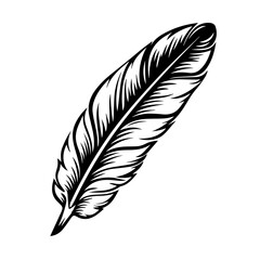 Feather Colored Logo Monochrome Design Style