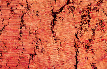 Fototapeta premium Background Natural red soil in my backyard