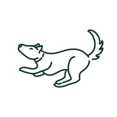 Cute Dogs Activities and Playing 8