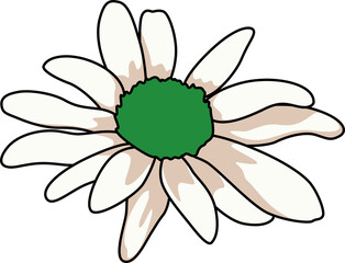 花（Flower）(PNG)