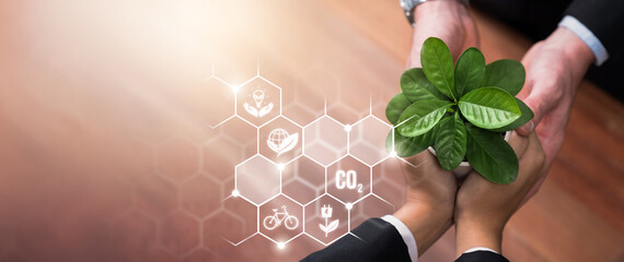 Business partnership nurturing or growing plant together with carbon icon symbolize ESG sustainable...