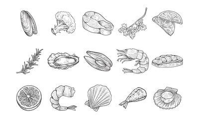 seafood handdrawn collection