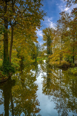 ein Bauch in dem sich Bäume spiegeln im Herbst