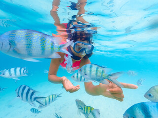 snorkeling trip at Samaesan Thailand dive underwater with fishes in the coral reef sea pool