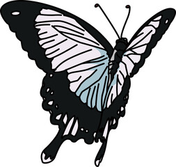 蝶々（butterfly）(PNG)