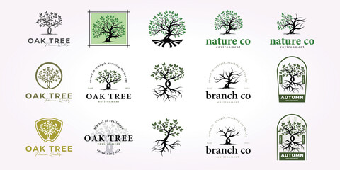oak tree logo design bundle, nature tree icon set vintage forest vector illustration - obrazy, fototapety, plakaty