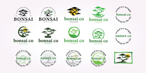 bonsai logo design bundle, bonsai tree icon set vintage decoration vector illustration