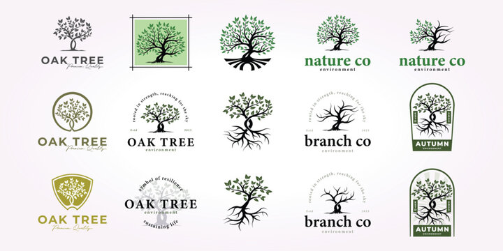 oak tree logo design bundle, nature tree icon set vintage forest vector illustration