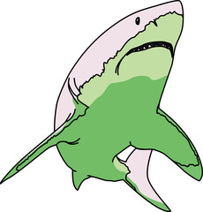 Obraz premium サメ（shark）