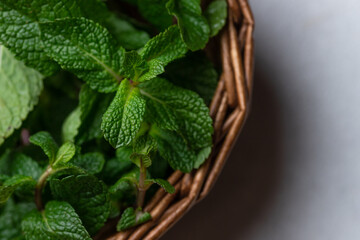 Collected mint sprigs in a basket
