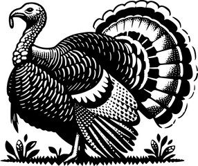 Fototapeta premium Ocellated Turkey icon 6