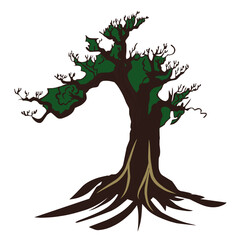 Tree without flowers, illustration of a dark green rooted tree, has short roots, brown wood