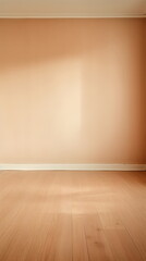 Simple room, ginger color Wall, hardwood Floor