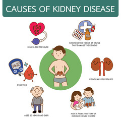 Cause of kidney disease, illustration cartoon on white background