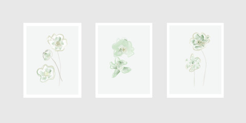 Green flower watercolor art triptych wall art vector. Abstract art background with green flower Bouquets, Wildflower and leaf hand paint design for wall decor, poster and wallpaper.