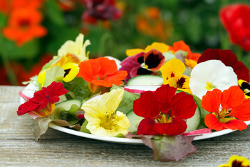 Obraz na płótnie Canvas Vegan salad of flowers, raddish and lettuce on the wooden table.