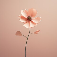 illustration of a flower