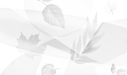 abstract background of leaves