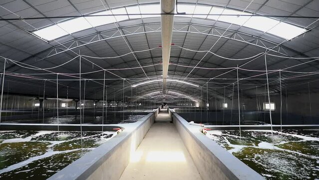 The factory mariculture workshop is located in a fishery farm in North China