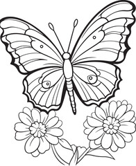  doodle style butterfly hand drawn coloring page illustration