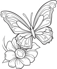  doodle style butterfly hand drawn coloring page illustration