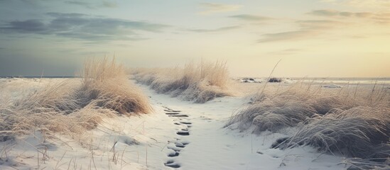 Manipulated photo of snowy path with grass.