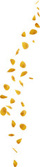 falling yellow rose flower petals