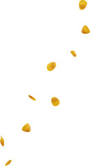 falling golden rose petals