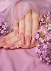 Fototapeta premium Female hands with pink nail design hold gypsophila flowers.