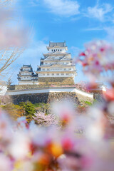 Hyogo, Japan - April 4 2023: Himeji Castle AKA White Heron Castle with full bloom sakura in spring. The castle is both a national treasure and a world heritage site. - obrazy, fototapety, plakaty