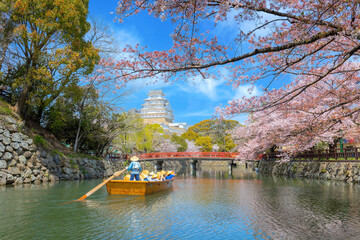 Naklejka premium Hyogo, Japan - April 4 2023: Unidentified people ride Himeji boat tour around the outer moat of Himeji castle during full bloom sakura period in spring