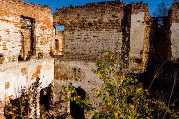 The ruins of an ancient brick manor house overgrown with trees. Belkino Estate, Obninsk, Russia
