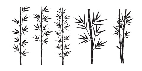 Silhouettes of bamboo leaves