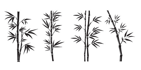 Bamboo silhouette isolated on white