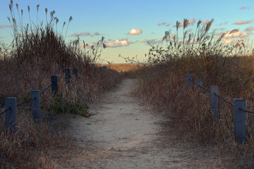 A sandy beach path with blue skies