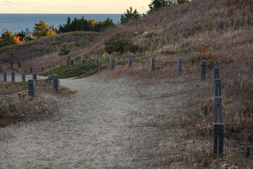 A beach path to the sea
