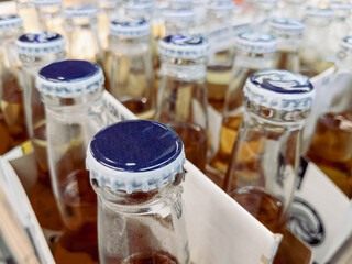 Glass beer bottles in a box