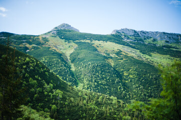 Obraz premium landscape with mountains
