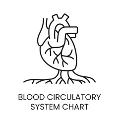 Diagram of the circulatory system, heart and blood vessels line icon vector for educational materials about diabetes.