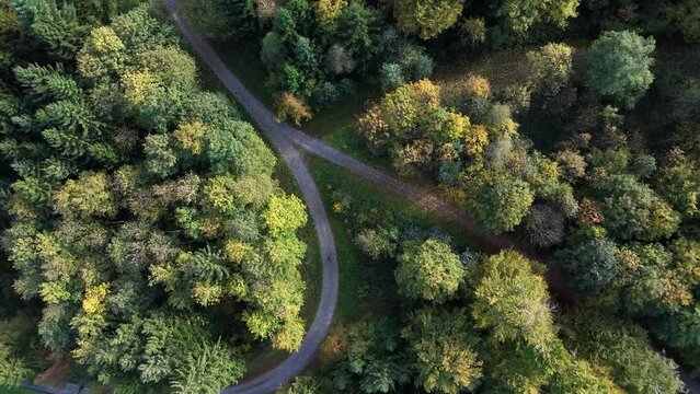 Top orbit view of jogging track in the urban forest of Rapperswil-Jona in northeastern Switzerland