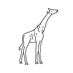 Line Art Animals Vector Collection 9