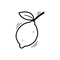 Hand Drawn Lemon Illustration. Doodle Vector. Isolated on White Background - EPS 10 Vector