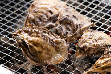 バーベキューで炭火網焼き中の牡蠣(殻付き牡蠣)。
