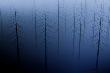 Old dry trees at night in the fog.