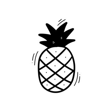 Hand Drawn Pineapple Illustration. Doodle Vector. Isolated on White Background - EPS 10 Vector