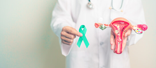 Doctor holding Teal ribbon with Uterus and Ovaries model for January Cervical Cancer Awareness...